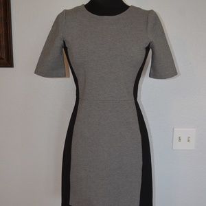 KNEE Dress Size 2 J Crew Women’s Charcoal Gray.  B2